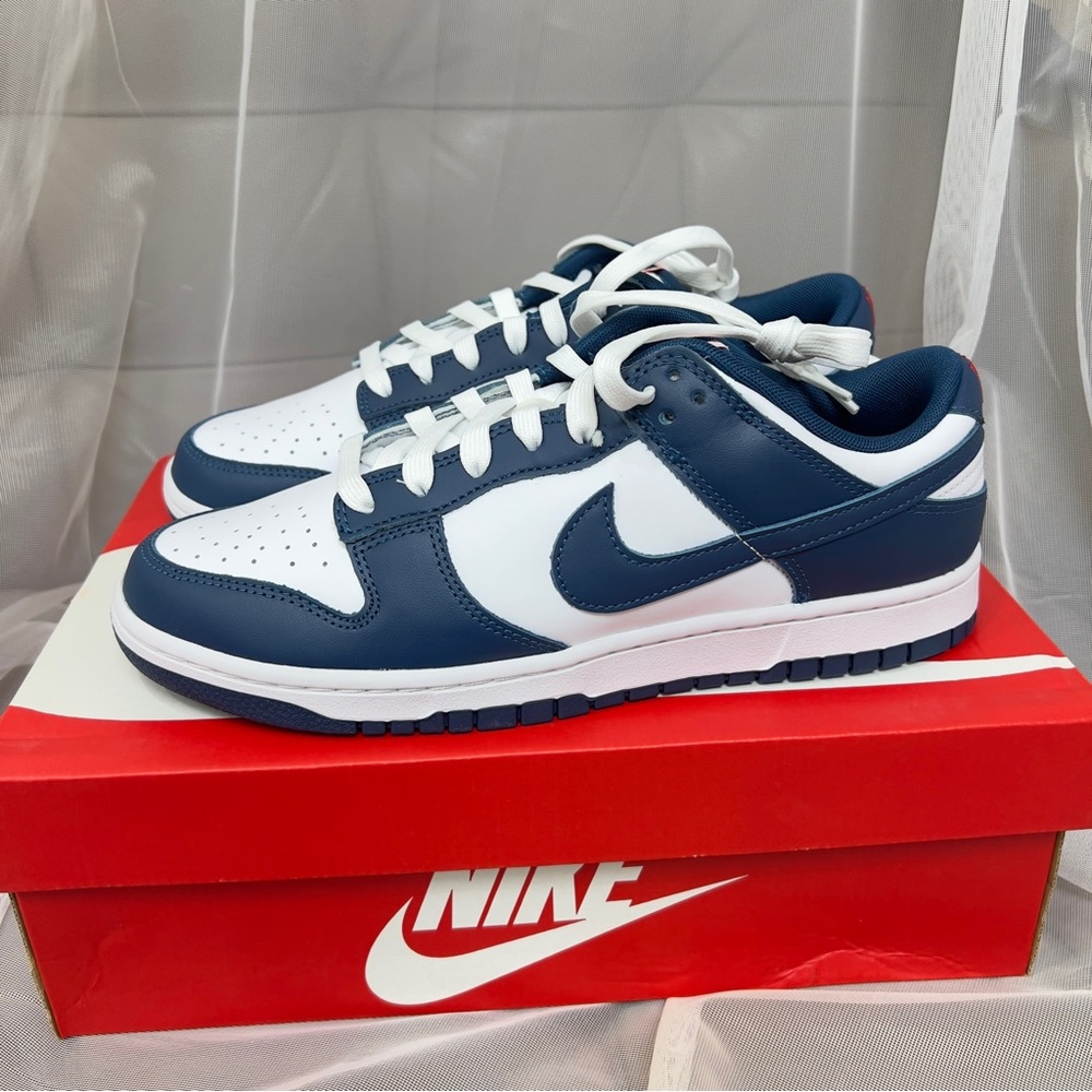 Men's Nike Dunk Low "Valerian Blue" 
(DD1391-400)
Size 9.5